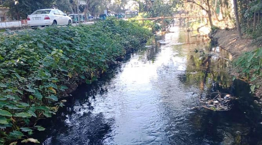 ভারতের বিষাক্ত পানি প্রবেশ করছে বাংলাদেশে