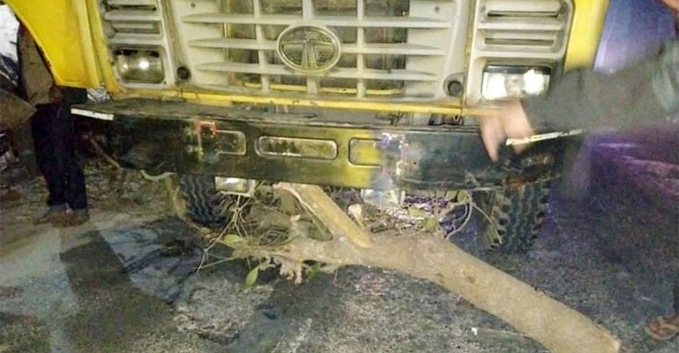 সড়কে গাছ ফেলে ট্রাক-মাইক্রোবাসে ডাকাতি