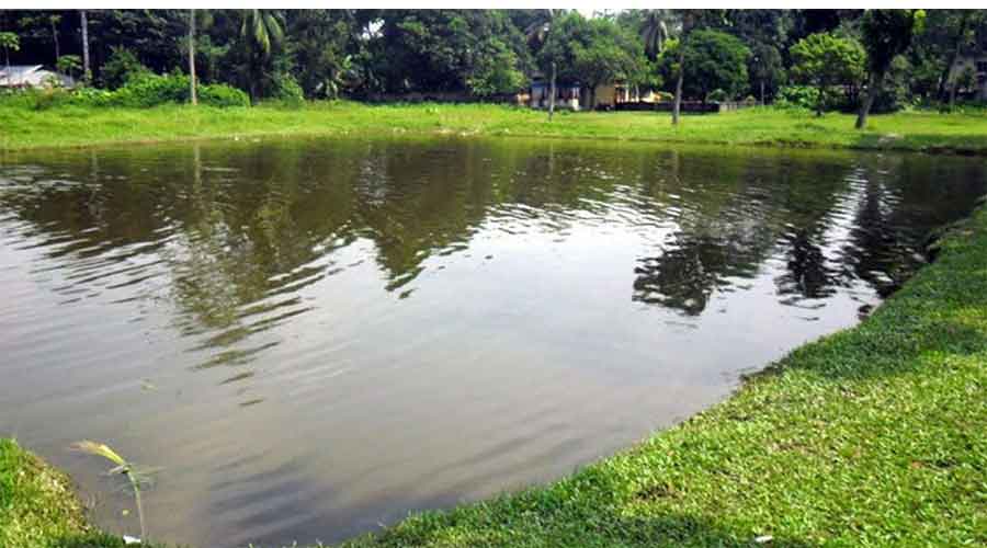 ভোলায় পুকুরে ডুবে ৩ শিশুর মৃত্যু 