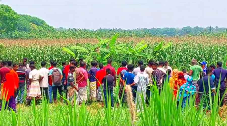 ভুট্টাক্ষেতে মিলল ৭ বছরের কন্যা শিশুর মরদেহ