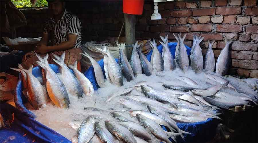 সাগরে নিষেধাজ্ঞা, বাজারে সয়লাব ইলিশ