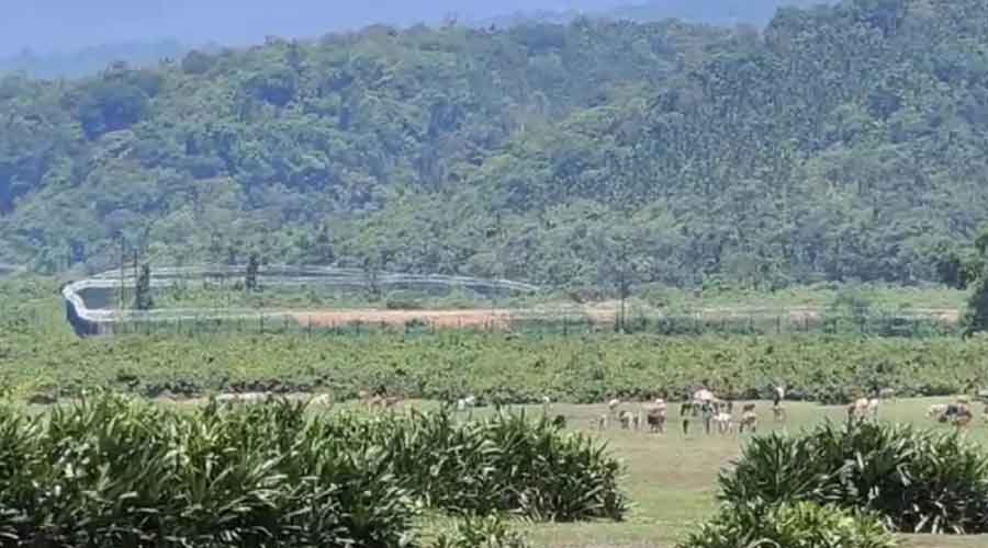 সিলেট সীমান্তে বিএসএফের পুশ ইন