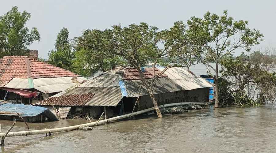 ফেনীতে নদীর বাঁধ ভেঙে ৬ গ্রাম প্লাবিত