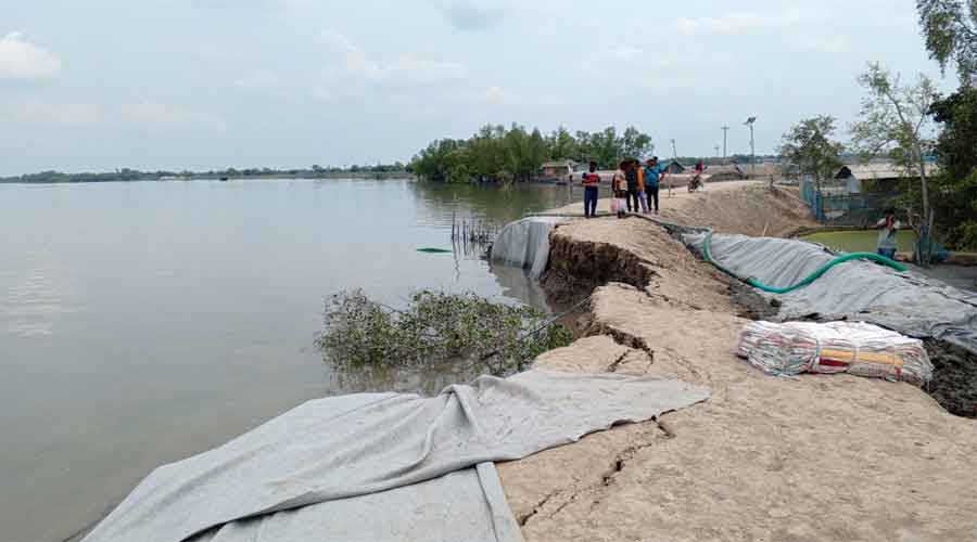 যমুনার ভাঙনে দিশেহারা নদীপাড়ের মানুষ