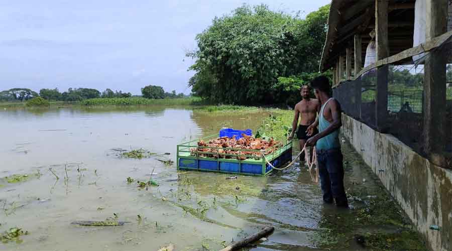 ফেনীতে বন্যা নিয়ন্ত্রণ বাঁধের ৩৬ স্থানে ভাঙন
