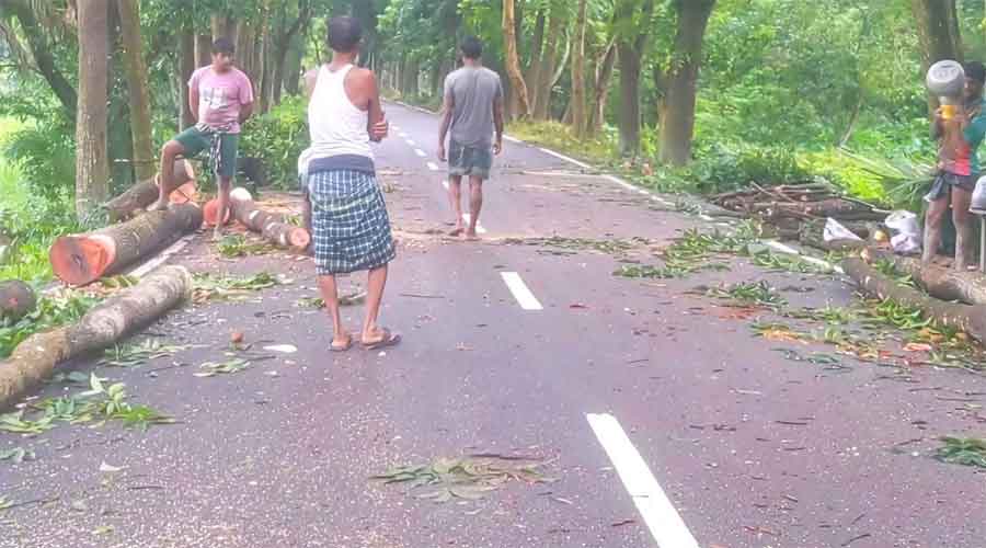 হাইকোর্টের নিষেধাজ্ঞা উপেক্ষা করে ১৮টি সরকারি গাছ কর্তন