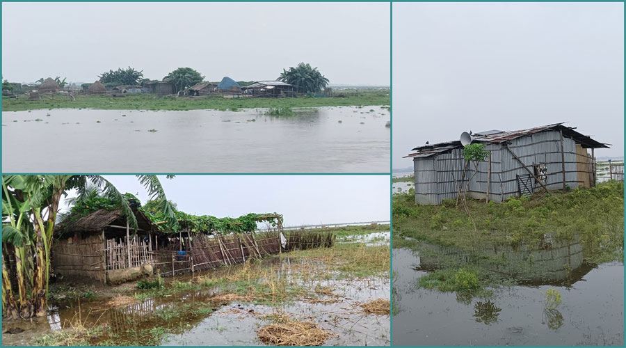 বিপৎসীমার কাছাকাছি পদ্মার পানি, ডুবেছে চর