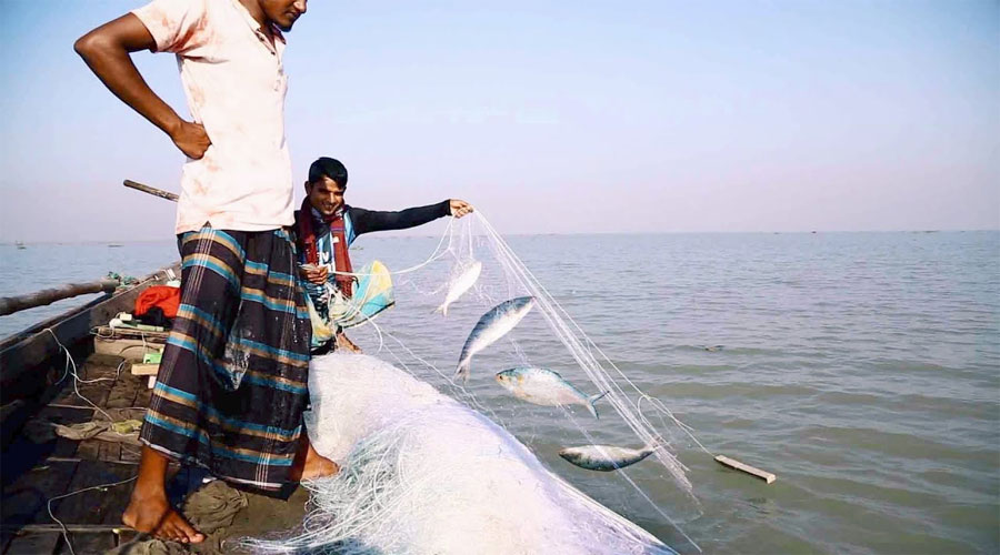 মধ্যরাত থেকে শুরু ইলিশ ধরায় নিষেধাজ্ঞা