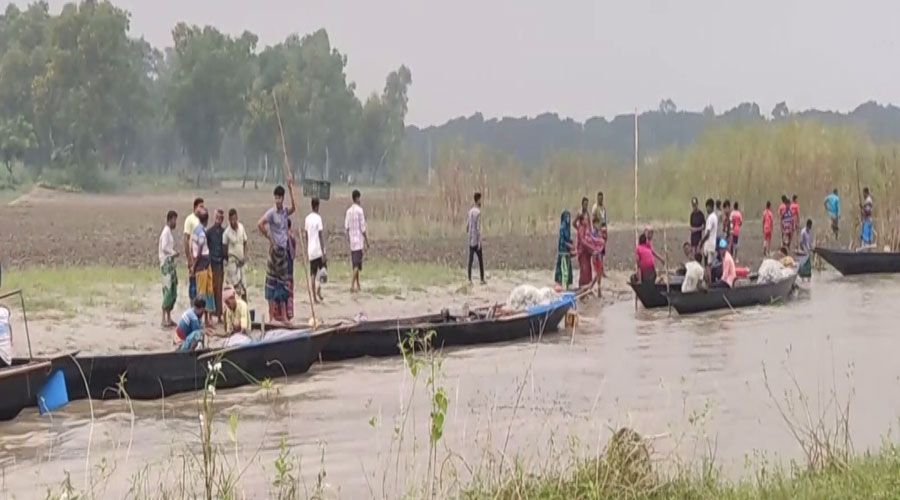 নিষেধাজ্ঞা অমান্য করে মেঘনায় অবাধে চলছে ইলিশ শিকার 