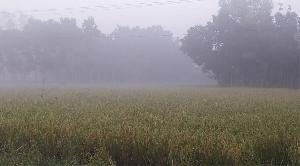 পঞ্চগড়ের তাপমাত্রা নামল ১২ ডিগ্রিতে 