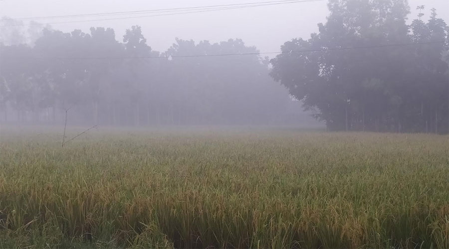 পঞ্চগড়ের তাপমাত্রা আবারও নামল ১৪ ডিগ্রিতে