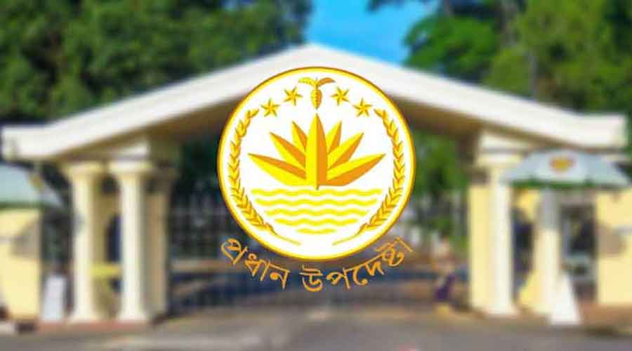 গণভোটের ব্যালটে যেসব প্রশ্ন থাকবে, জানাল সরকার