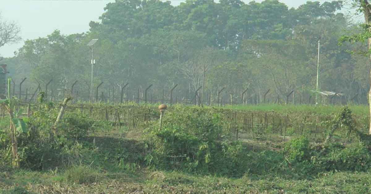  সীমান্তে বিএসএফের গুলিতে বাংলাদেশি আহত
