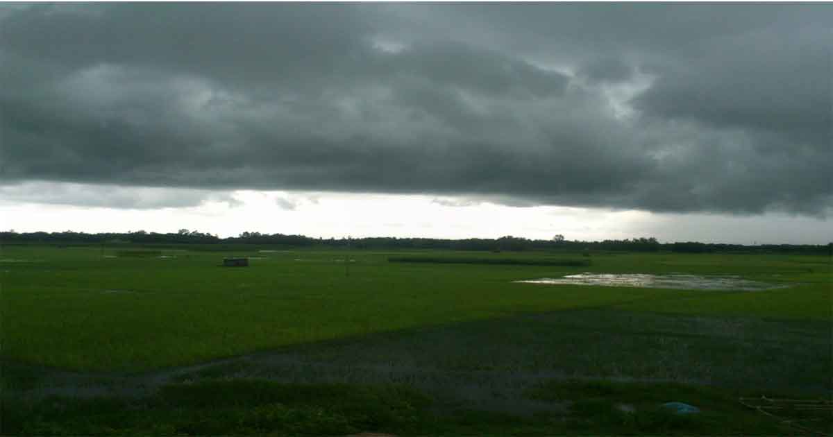 বৃষ্টি, ছবিঃ সংগৃহীত 