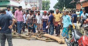ঝিনাইদহে সারের দাবিতে সড়ক অবরোধ করে বিক্ষোভ