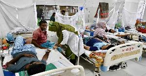 ডেঙ্গুতে আরও ৭ জনের মৃত্যু, আক্রান্ত ১৫৯৩ জন