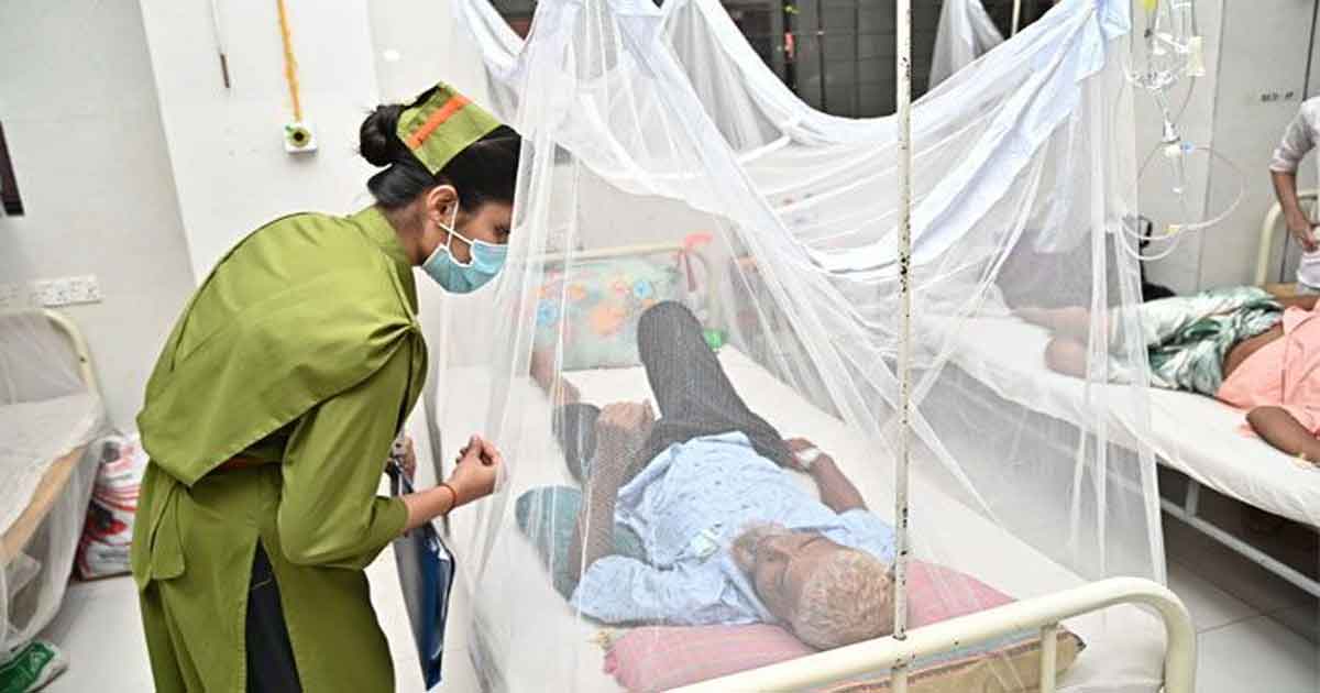 হাসপাতালে ভর্তি ডেঙ্গু রোগী, ছবিঃ সংগৃহীত 
