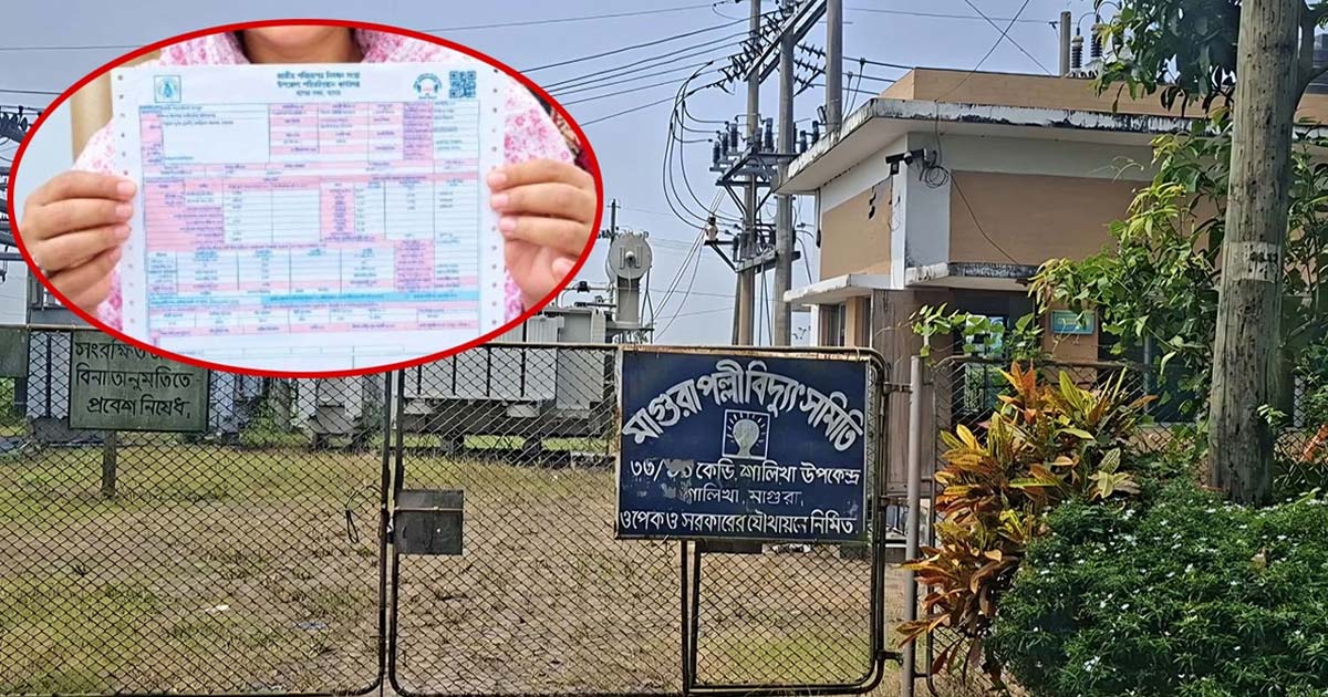 মোছা. আলেয়া খাতুনের নামে সেপ্টেম্বর ২০২৬ মাসে বিল ৫০৬ কোটি, ছবি: সংগৃহীত