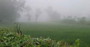 তেঁতুলিয়ায় তাপমাত্রা নামল ২০ ডিগ্রিতে