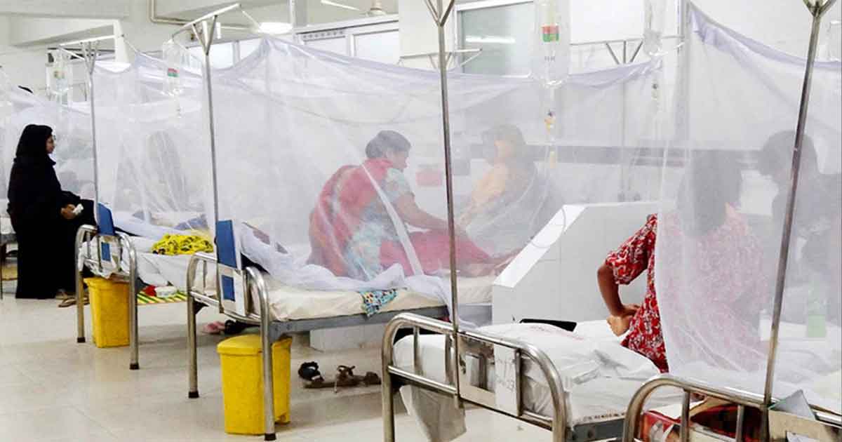 ২৪ ঘণ্টায় ডেঙ্গুতে ৩ জনের মৃত্যু, হাসপাতালে ১২৬২